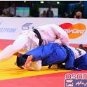 WCPARIS2011 90006